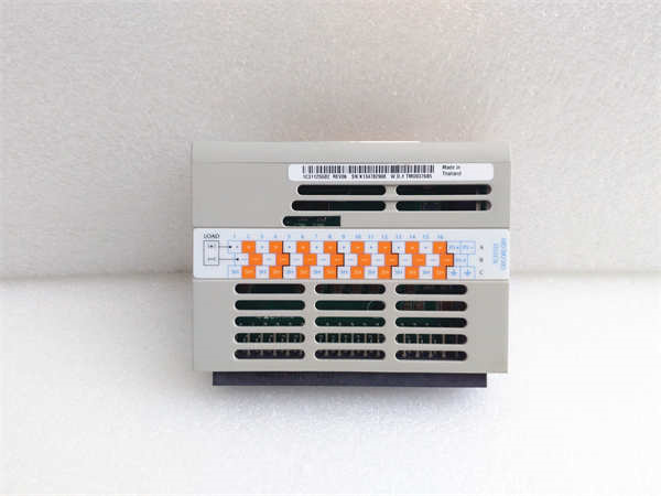 1C31125G02 EMERSON 数字输出模块
