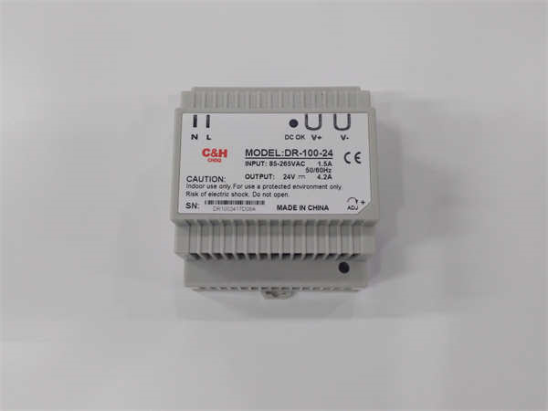 DR-100-24 MEAN WELL 