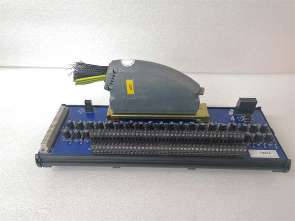 T8830 ICS TRIPLEX 40 通道模拟量输入现场端子组件 (FTA)