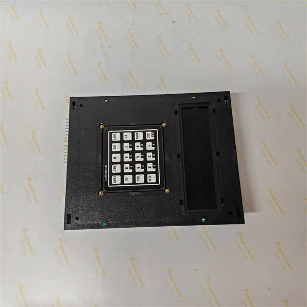 <strong>531X306LCCBAG3 GE </strong>