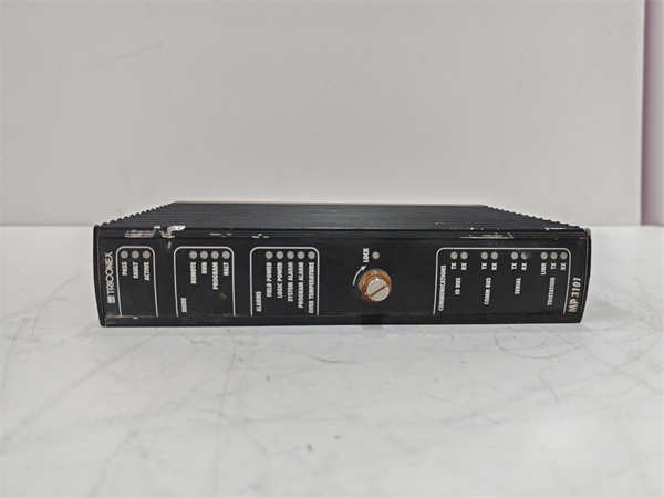 <strong>TRICONEX MP3101</strong>