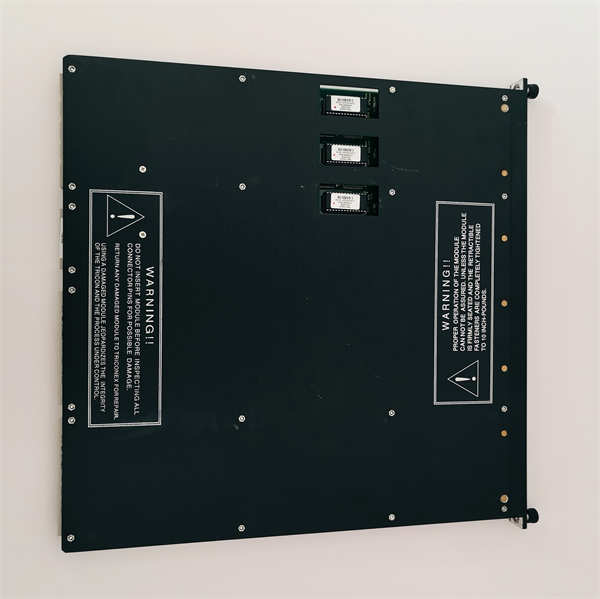<strong>TRICONEX 3503EC1</strong>