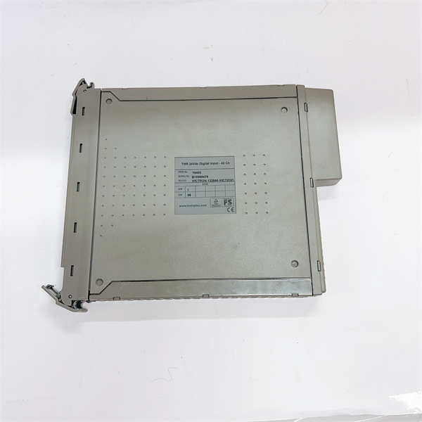 ICS TRIPLEX T8403