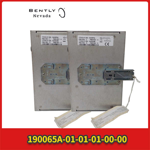 Bently Nevada 1900/65A-01-01-01-00-00