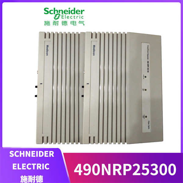 SCHNEIDER 490NRP25300