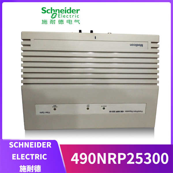 SCHNEIDER 490NRP25300