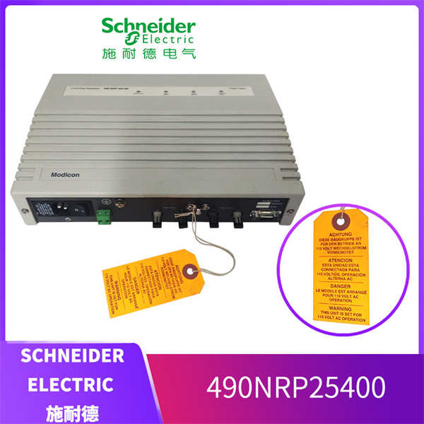 SCHNEIDER 490NRP25400