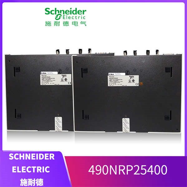 SCHNEIDER 490NRP25400