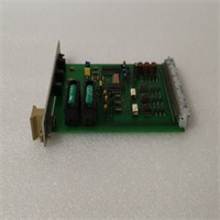 F7131 981713102 HIMA