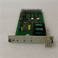 F7131 981713102 HIMA