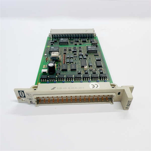 HIMA F6217 984621702 