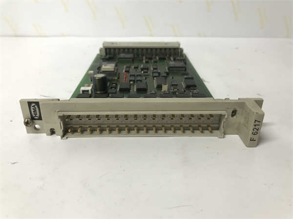 HIMA F6217 984621702