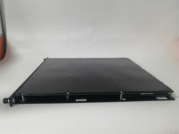 TRICONEX  3009（2）.jpg