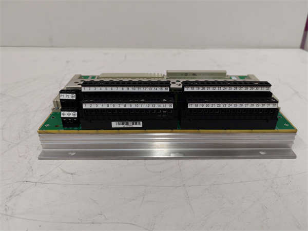 TRICONEX AI2351 7400210-010