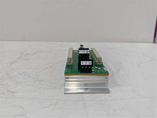 TRICONEX 7400213-100