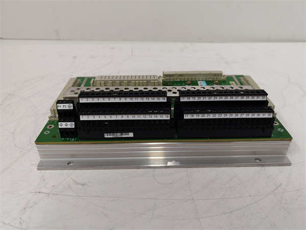 TRICONEX DI2301 7400208-020