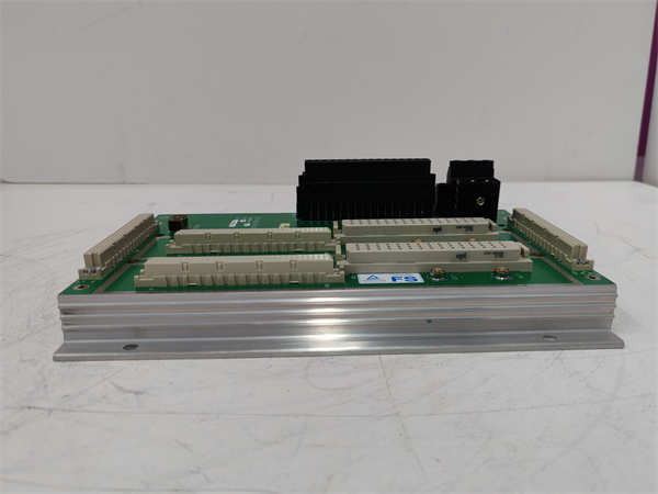 TRICONEX DO2401 7400209-030 